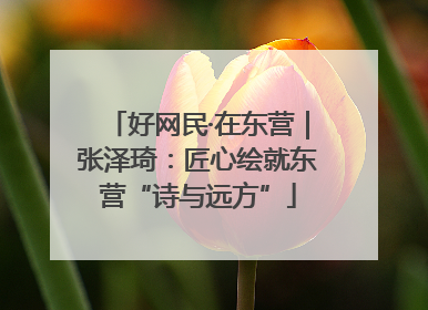 好网民·在东营｜张泽琦：匠心绘就东营“诗与远方”