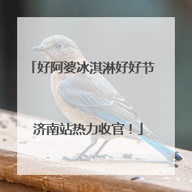 好阿婆冰淇淋好好节 济南站热力收官！