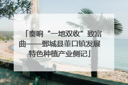 奏响“一地双收”致富曲——鄄城县董口镇发展特色种植产业侧记