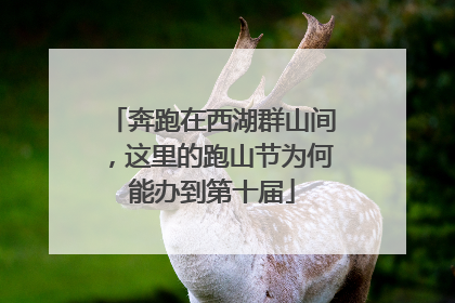 奔跑在西湖群山间，这里的跑山节为何能办到第十届