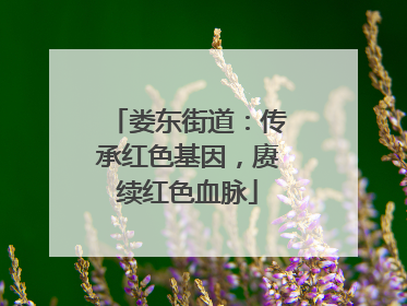 娄东街道：传承红色基因，赓续红色血脉