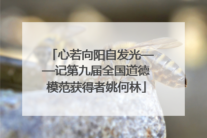 心若向阳自发光——记第九届全国道德模范获得者姚何林
