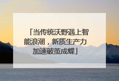 当传统沃野遇上智能浪潮，新质生产力加速破茧成蝶