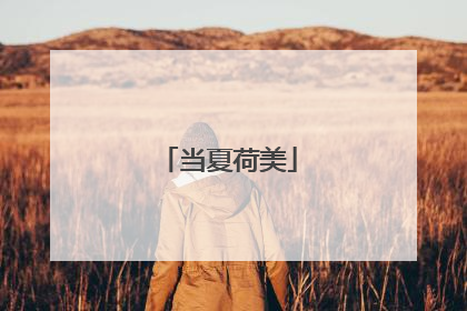 当夏荷美