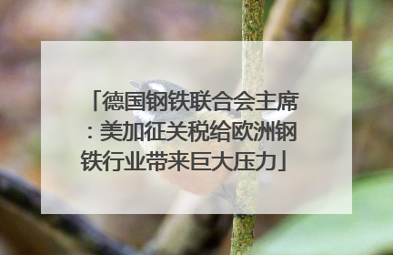 德国钢铁联合会主席：美加征关税给欧洲钢铁行业带来巨大压力