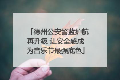 德州公安警蓝护航再升级 让安全感成为音乐节最强底色
