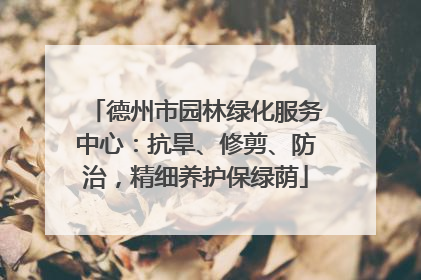 德州市园林绿化服务中心：抗旱、修剪、防治，精细养护保绿荫