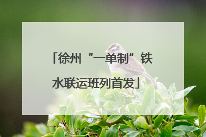 徐州“一单制”铁水联运班列首发