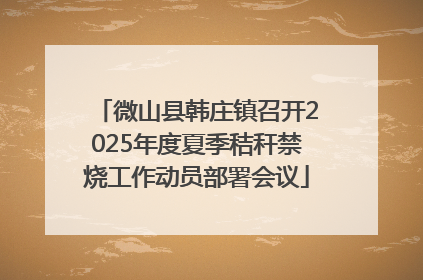 微山县韩庄镇召开2025年度夏季秸秆禁烧工作动员部署会议