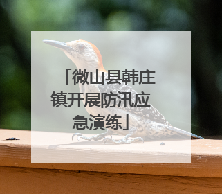 微山县韩庄镇开展防汛应急演练
