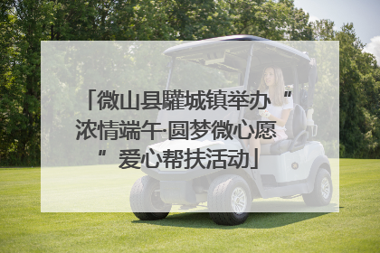 微山县驩城镇举办“浓情端午·圆梦微心愿”爱心帮扶活动