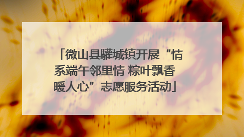 微山县驩城镇开展“情系端午邻里情 粽叶飘香暖人心”志愿服务活动