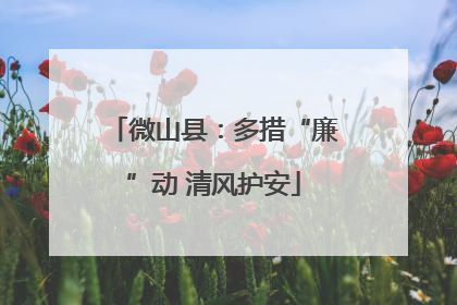 微山县：多措“廉”动 清风护安