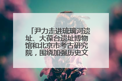 尹力走进琉璃河遗址、大葆台遗址博物馆和北京市考古研究院，围绕加强历史文化名城保护调研