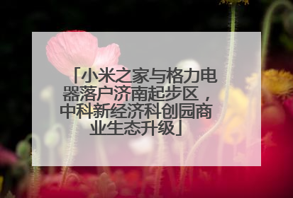 小米之家与格力电器落户济南起步区，中科新经济科创园商业生态升级