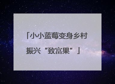 小小蓝莓变身乡村振兴“致富果”