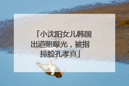 小沈阳女儿韩国出道照曝光，被指撞脸孔孝真