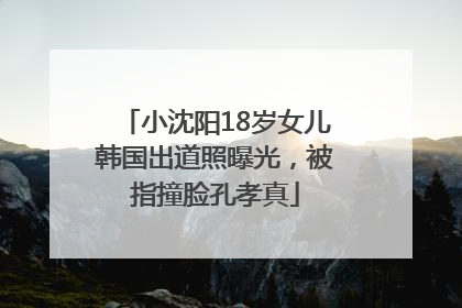 小沈阳18岁女儿韩国出道照曝光，被指撞脸孔孝真
