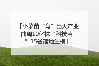 小菜苗“育”出大产业 曲周10亿株“科技苗”15省落地生根