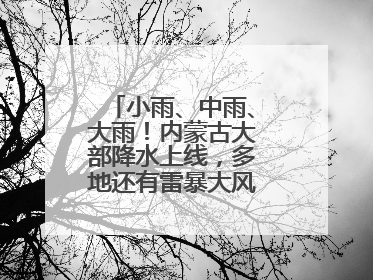 小雨、中雨、大雨！内蒙古大部降水上线，多地还有雷暴大风或冰雹天气