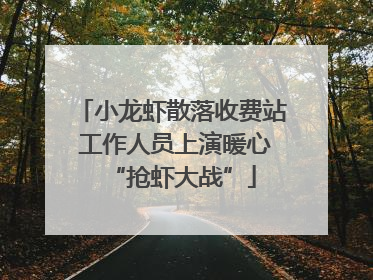 小龙虾散落收费站 工作人员上演暖心“抢虾大战”