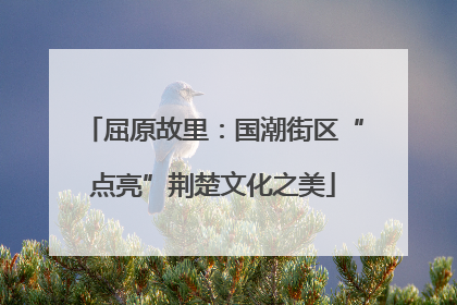 屈原故里：国潮街区“点亮”荆楚文化之美
