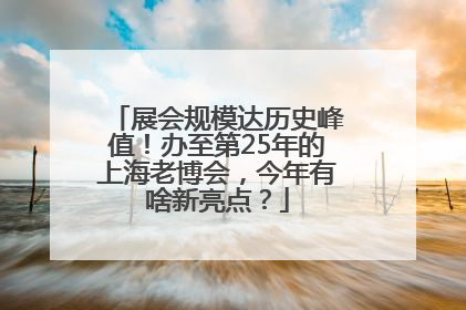 展会规模达历史峰值！办至第25年的上海老博会，今年有啥新亮点？