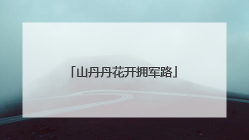 山丹丹花开拥军路