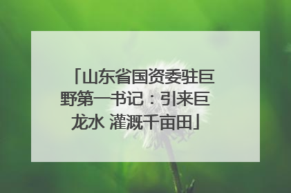山东省国资委驻巨野第一书记：引来巨龙水 灌溉千亩田