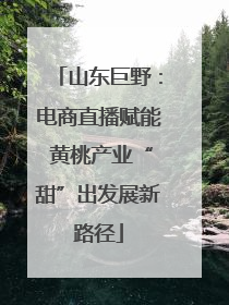 山东巨野：电商直播赋能 黄桃产业“甜”出发展新路径