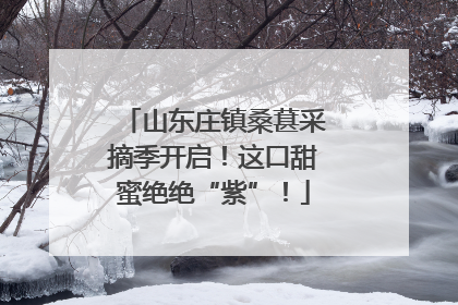 山东庄镇桑葚采摘季开启！这口甜蜜绝绝“紫”！