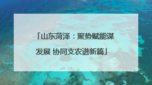 山东菏泽：聚势赋能谋发展 协同支农谱新篇