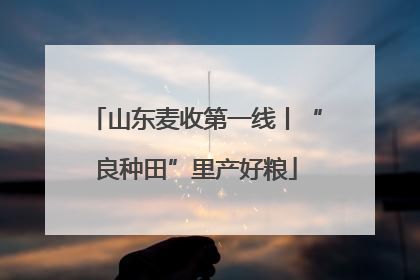 山东麦收第一线丨“良种田”里产好粮
