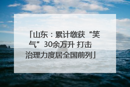 山东：累计缴获“笑气”30余万升 打击治理力度居全国前列