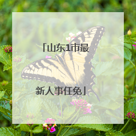 山东1市最新人事任免