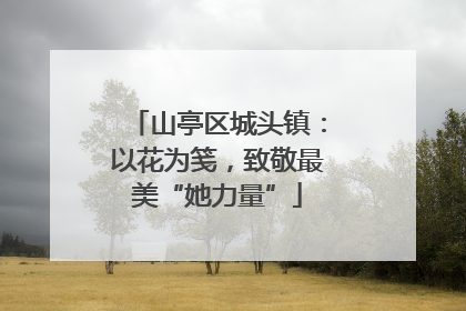 山亭区城头镇：以花为笺，致敬最美“她力量”