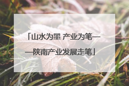 山水为墨 产业为笔——陕南产业发展走笔