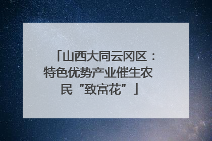 山西大同云冈区：特色优势产业催生农民“致富花”