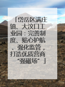 岱岳区满庄镇、大汶口工业园：完善制度、贴心护航、强化监管，打造优质营商“强磁场”