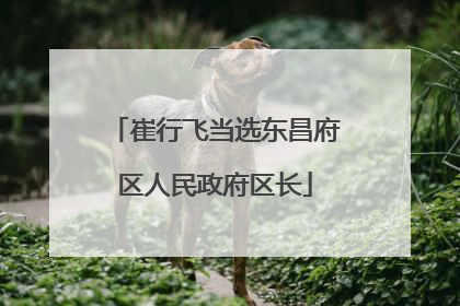 崔行飞当选东昌府区人民政府区长