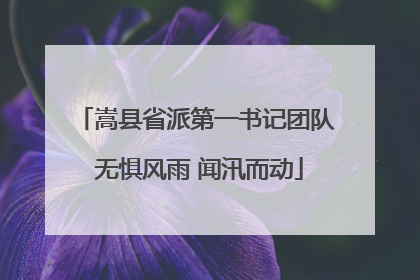 嵩县省派第一书记团队 无惧风雨 闻汛而动