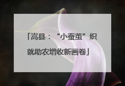 嵩县：“小蚕茧”织就助农增收新画卷