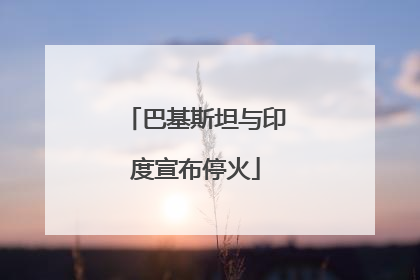 巴基斯坦与印度宣布停火