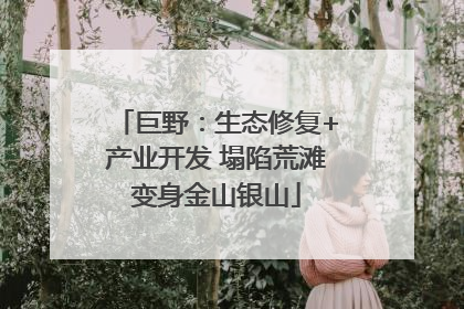 巨野：生态修复+产业开发 塌陷荒滩变身金山银山