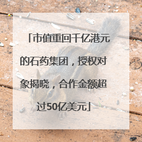 市值重回千亿港元的石药集团，授权对象揭晓，合作金额超过50亿美元