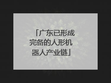 广东已形成完备的人形机器人产业链