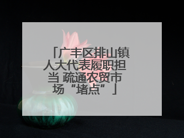广丰区排山镇人大代表履职担当 疏通农贸市场“堵点”