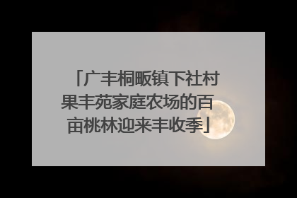 广丰桐畈镇下社村果丰苑家庭农场的百亩桃林迎来丰收季