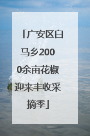 广安区白马乡2000余亩花椒迎来丰收采摘季