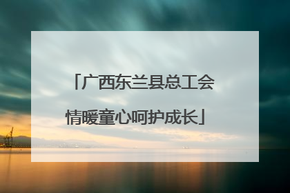 广西东兰县总工会情暖童心呵护成长